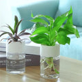 Mini Hydroponic Flower Pot Home Vase Pack Of 2 MultiShines