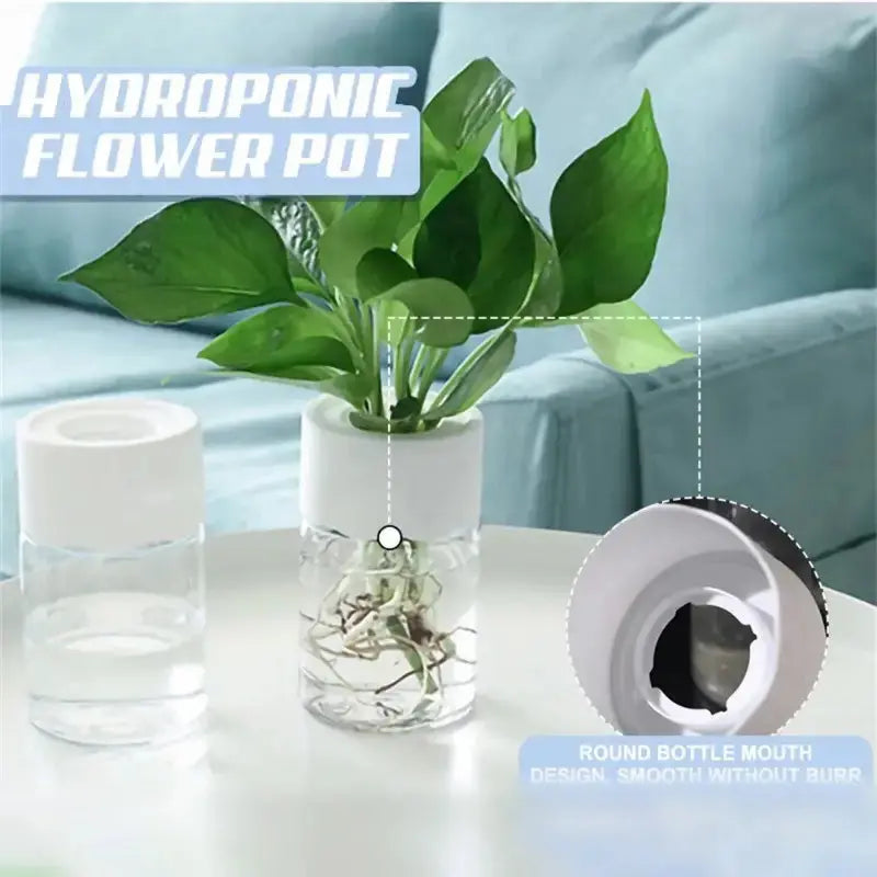 Mini Hydroponic Flower Pot Home Vase Pack Of 2 MultiShines